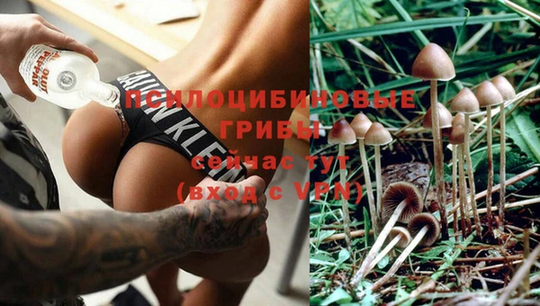 прущая мука Алексин